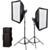 Godox 2-Light Kit Litemons LA150D 5600K LED studijski KIT
